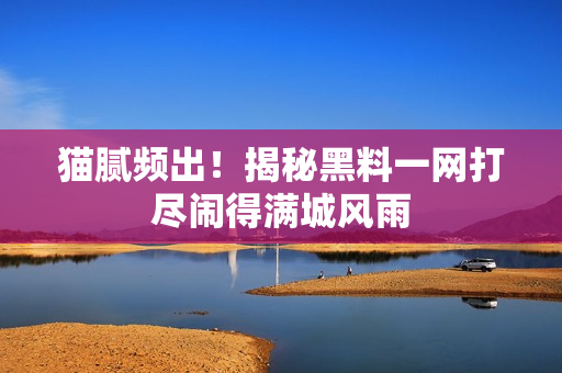 猫腻频出！揭秘黑料一网打尽闹得满城风雨