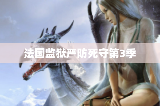 法国监狱严防死守第3季