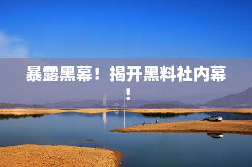 暴露黑幕！揭开黑料社内幕！