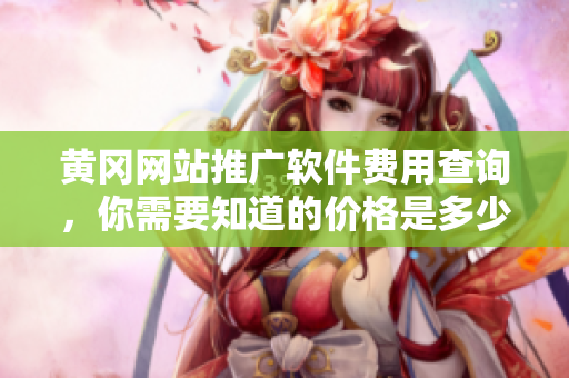 黄冈网站推广软件费用查询，你需要知道的价格是多少？