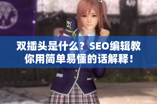 双插头是什么？SEO编辑教你用简单易懂的话解释！