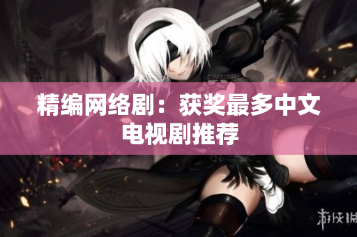 精编网络剧：获奖最多中文电视剧推荐
