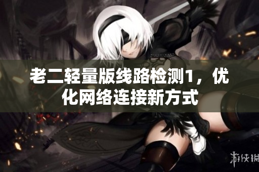 老二轻量版线路检测1，优化网络连接新方式