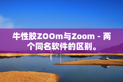 牛性胶ZOOm与Zoom - 两个同名软件的区别。
