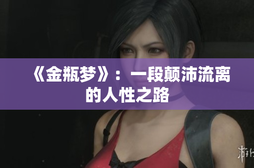 《金瓶梦》：一段颠沛流离的人性之路