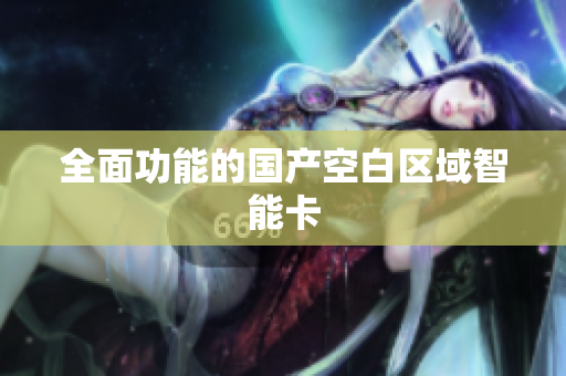 全面功能的国产空白区域智能卡