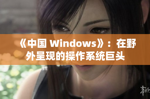 《中国 Windows》：在野外呈现的操作系统巨头