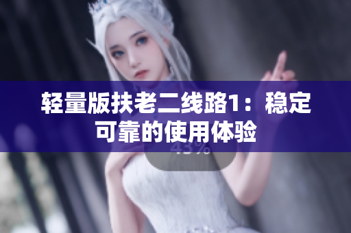 轻量版扶老二线路1：稳定可靠的使用体验