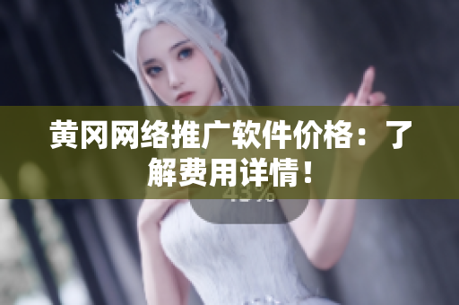 黄冈网络推广软件价格：了解费用详情！