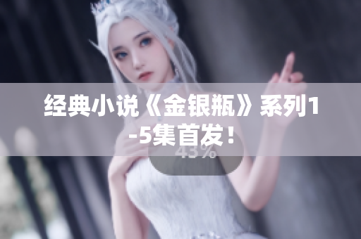 经典小说《金银瓶》系列1-5集首发！
