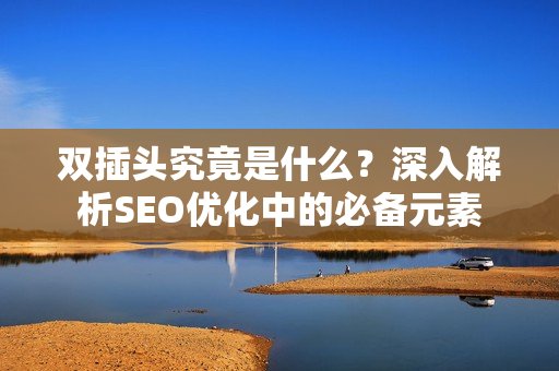 双插头究竟是什么？深入解析SEO优化中的必备元素