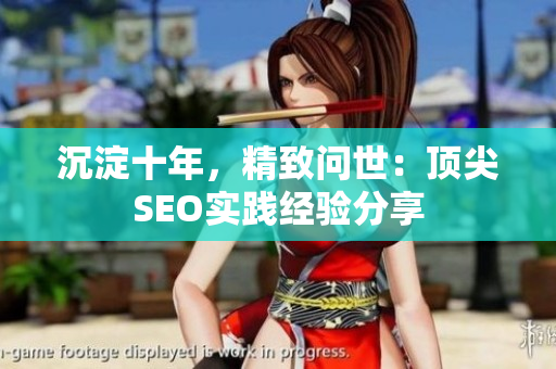 沉淀十年，精致问世：顶尖SEO实践经验分享