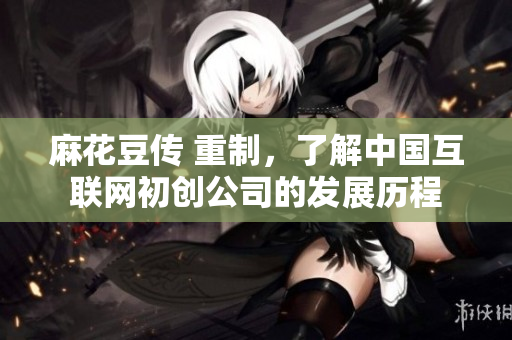 麻花豆传 重制，了解中国互联网初创公司的发展历程