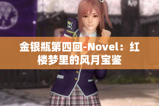 金银瓶第四回-Novel：红楼梦里的风月宝鉴