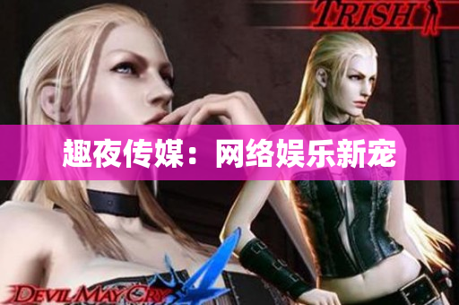 趣夜传媒：网络娱乐新宠