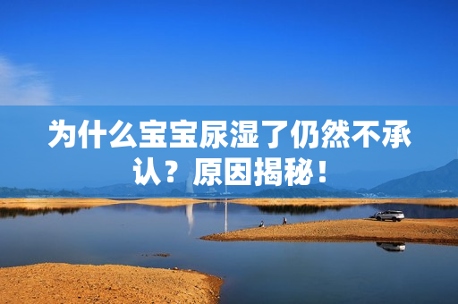 为什么宝宝尿湿了仍然不承认？原因揭秘！