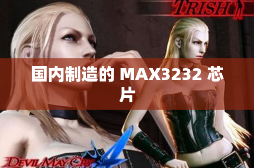 国内制造的 MAX3232 芯片
