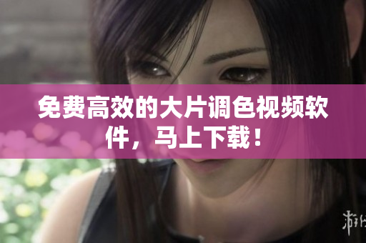 免费高效的大片调色视频软件，马上下载！