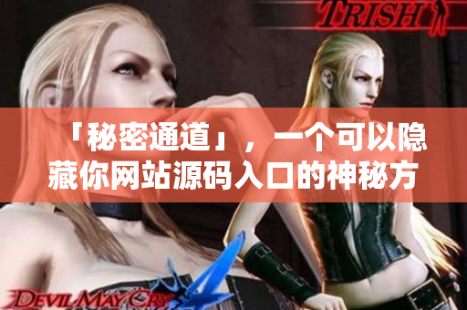 「秘密通道」，一个可以隐藏你网站源码入口的神秘方法