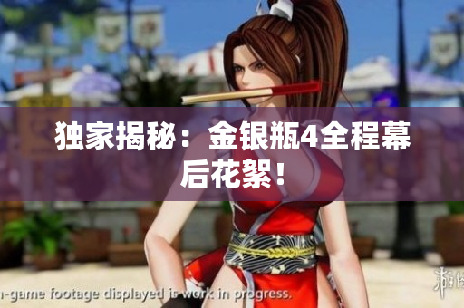 独家揭秘：金银瓶4全程幕后花絮！