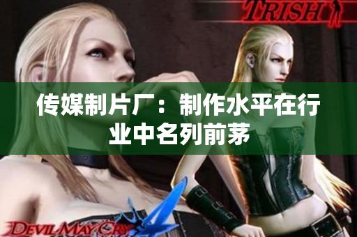 传媒制片厂：制作水平在行业中名列前茅