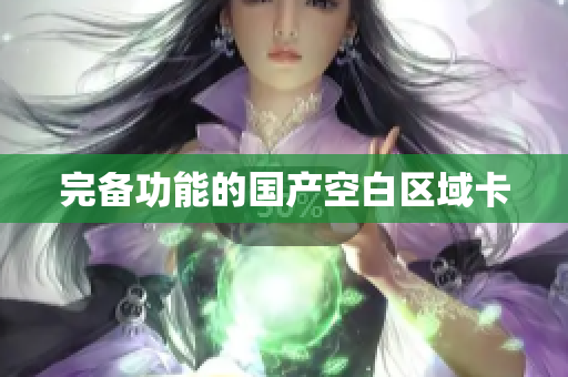 完备功能的国产空白区域卡