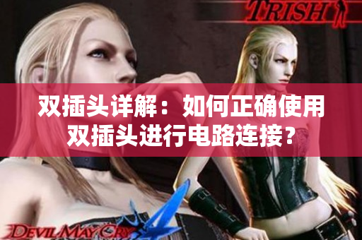 双插头详解：如何正确使用双插头进行电路连接？