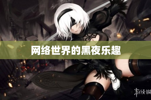 网络世界的黑夜乐趣