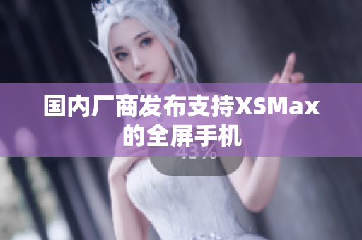 国内厂商发布支持XSMax的全屏手机