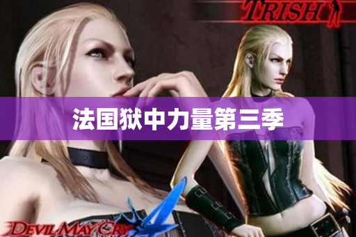 法国狱中力量第三季