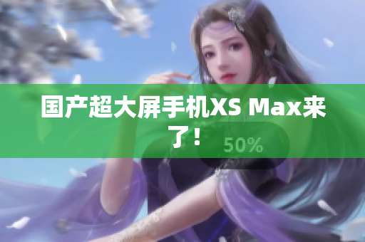 国产超大屏手机XS Max来了！