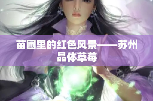 苗圃里的红色风景——苏州晶体草莓