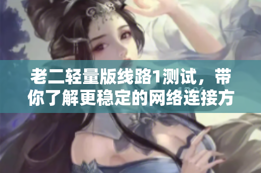 老二轻量版线路1测试，带你了解更稳定的网络连接方式！