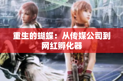 重生的蝴蝶：从传媒公司到网红孵化器