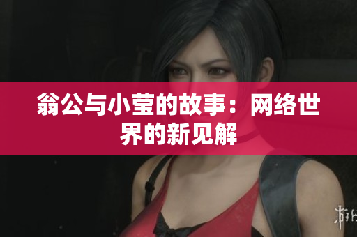 翁公与小莹的故事：网络世界的新见解