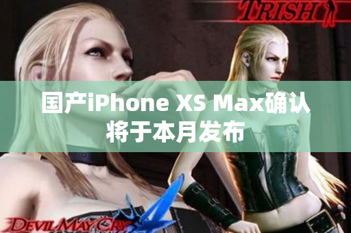 国产iPhone XS Max确认将于本月发布