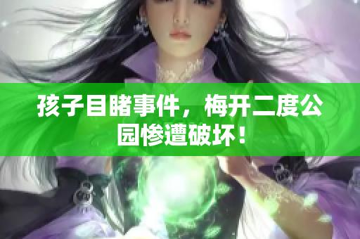 孩子目睹事件，梅开二度公园惨遭破坏！