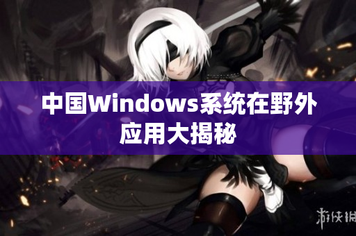 中国Windows系统在野外应用大揭秘
