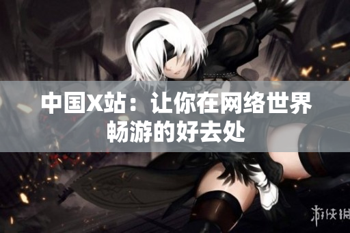 中国X站：让你在网络世界畅游的好去处