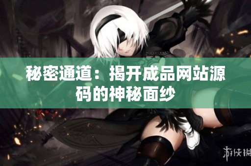 秘密通道：揭开成品网站源码的神秘面纱