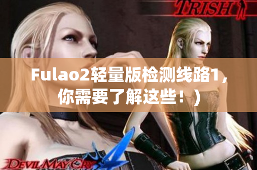 Fulao2轻量版检测线路1，你需要了解这些！)