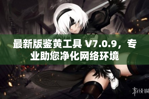 最新版鉴黄工具 V7.0.9，专业助您净化网络环境