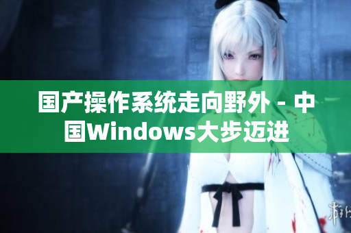 国产操作系统走向野外 - 中国Windows大步迈进