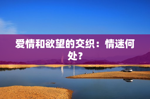 爱情和欲望的交织：情迷何处？