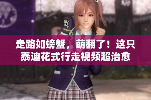 走路如螃蟹，萌翻了！这只泰迪花式行走视频超治愈