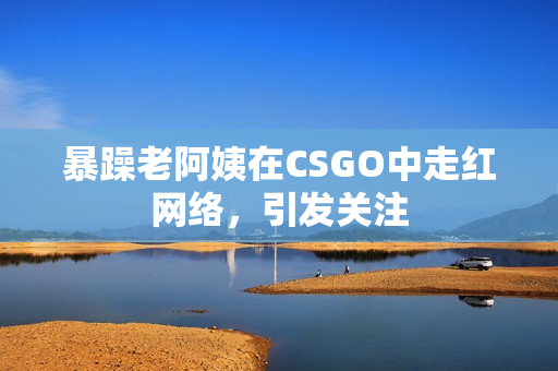暴躁老阿姨在CSGO中走红网络，引发关注