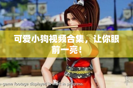 可爱小狗视频合集，让你眼前一亮！