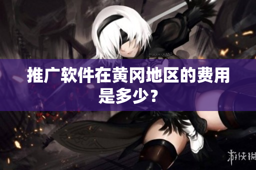 推广软件在黄冈地区的费用是多少？