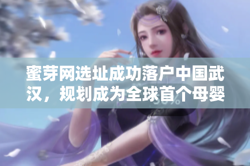 蜜芽网选址成功落户中国武汉，规划成为全球首个母婴行业大数据中心