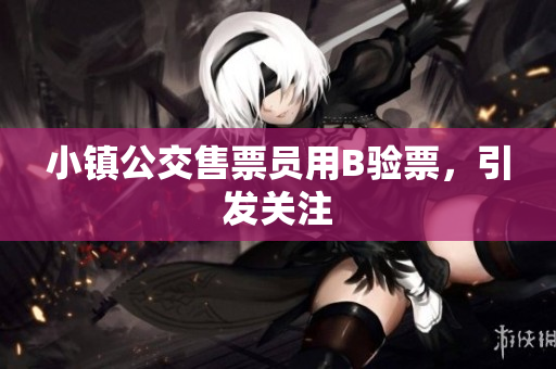 小镇公交售票员用B验票，引发关注